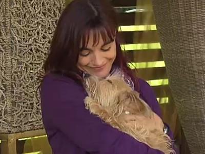 Doga- Yoga mit Hund Doga- Yoga mit Hund