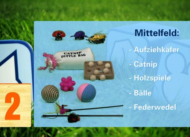 Der große Katzenspielzeug-Test Der große Katzenspielzeug-Test
