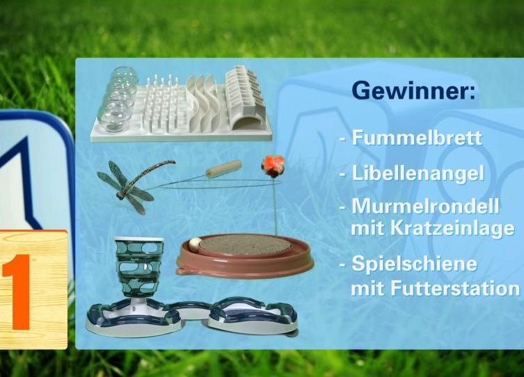 Der große Katzenspielzeug-Test Der große Katzenspielzeug-Test