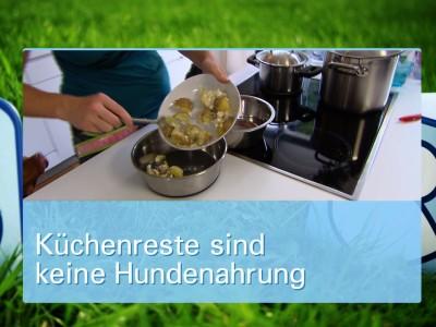 Ernährungsmythen bei Hunden Ernährungsmythen bei Hunden