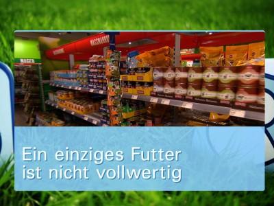 Ernährungsmythen bei Hunden Ernährungsmythen bei Hunden