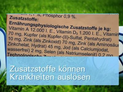 Ernährungsmythen bei Hunden Ernährungsmythen bei Hunden