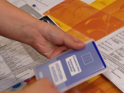 Galerie Ein Kätzchen zieht ein Galerie Ein Kätzchen zieht ein