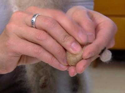Galerie Schmuck aus Tierhaaren Galerie Schmuck aus Tierhaaren