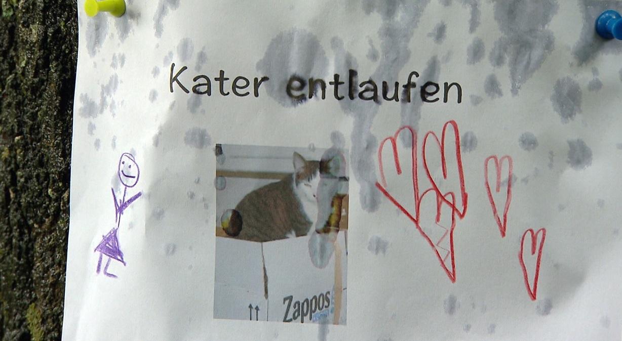 Hunde-GPS im Test Hunde-GPS im Test
