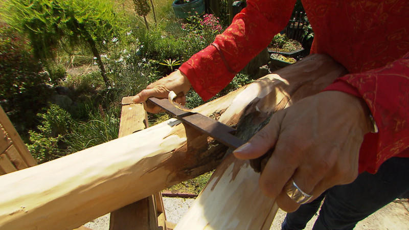Anleitung für einen Do-It-Yourself-Naturkratzbaum Anleitung für einen Do-It-Yourself-Naturkratzbaum
