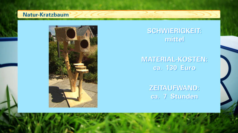 Anleitung für einen Do-It-Yourself-Naturkratzbaum Anleitung für einen Do-It-Yourself-Naturkratzbaum