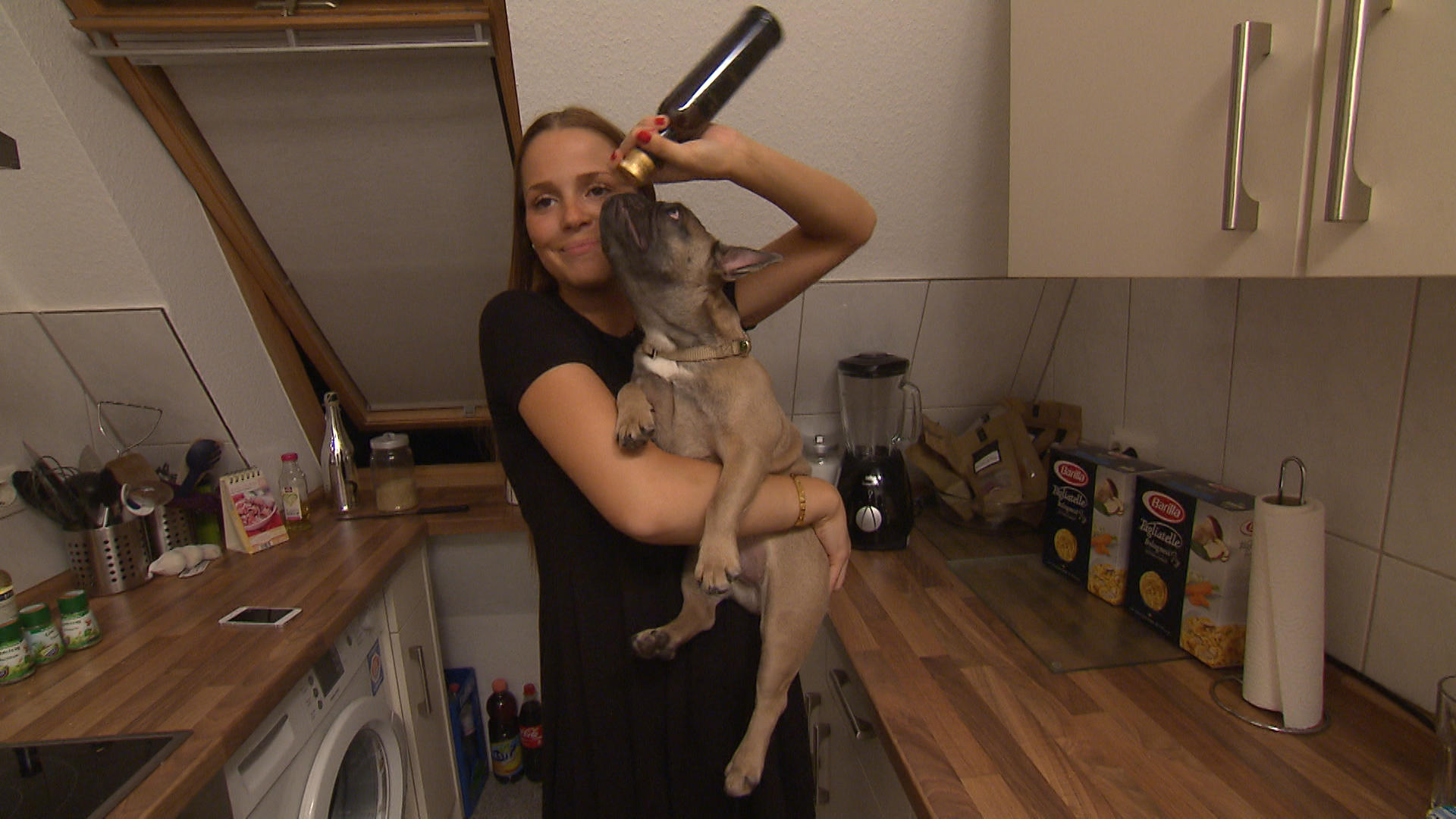 Hundespezial Hundespezial