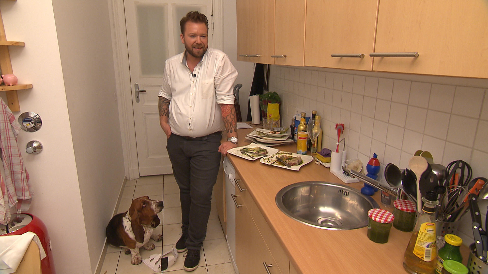 Hundespezial Hundespezial