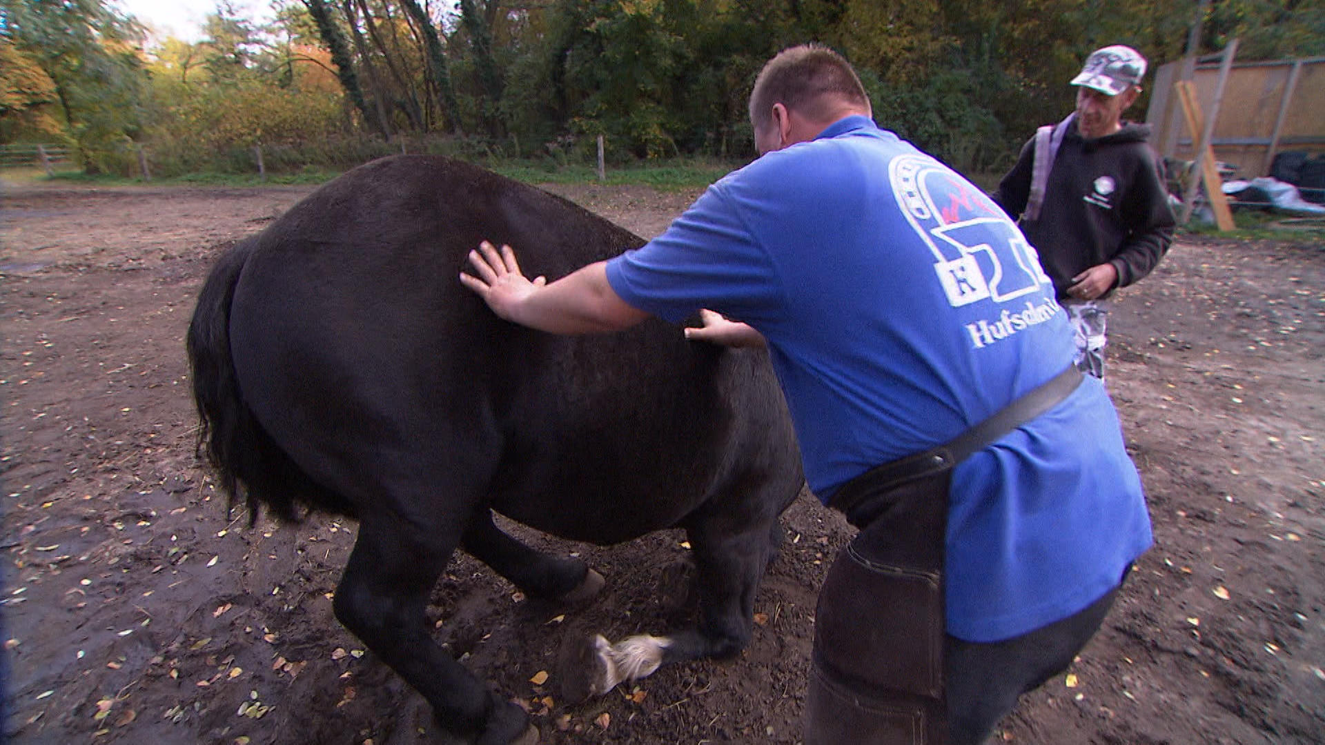 3 Engel für Tiere Was wurde aus 3 Engel für Tiere Was wurde aus