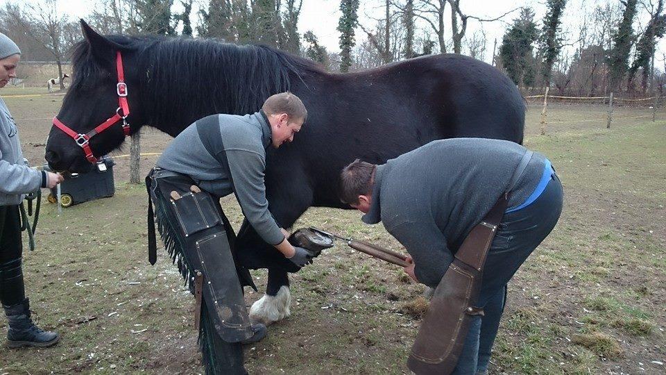 3 Engel für Tiere Was wurde aus 3 Engel für Tiere Was wurde aus