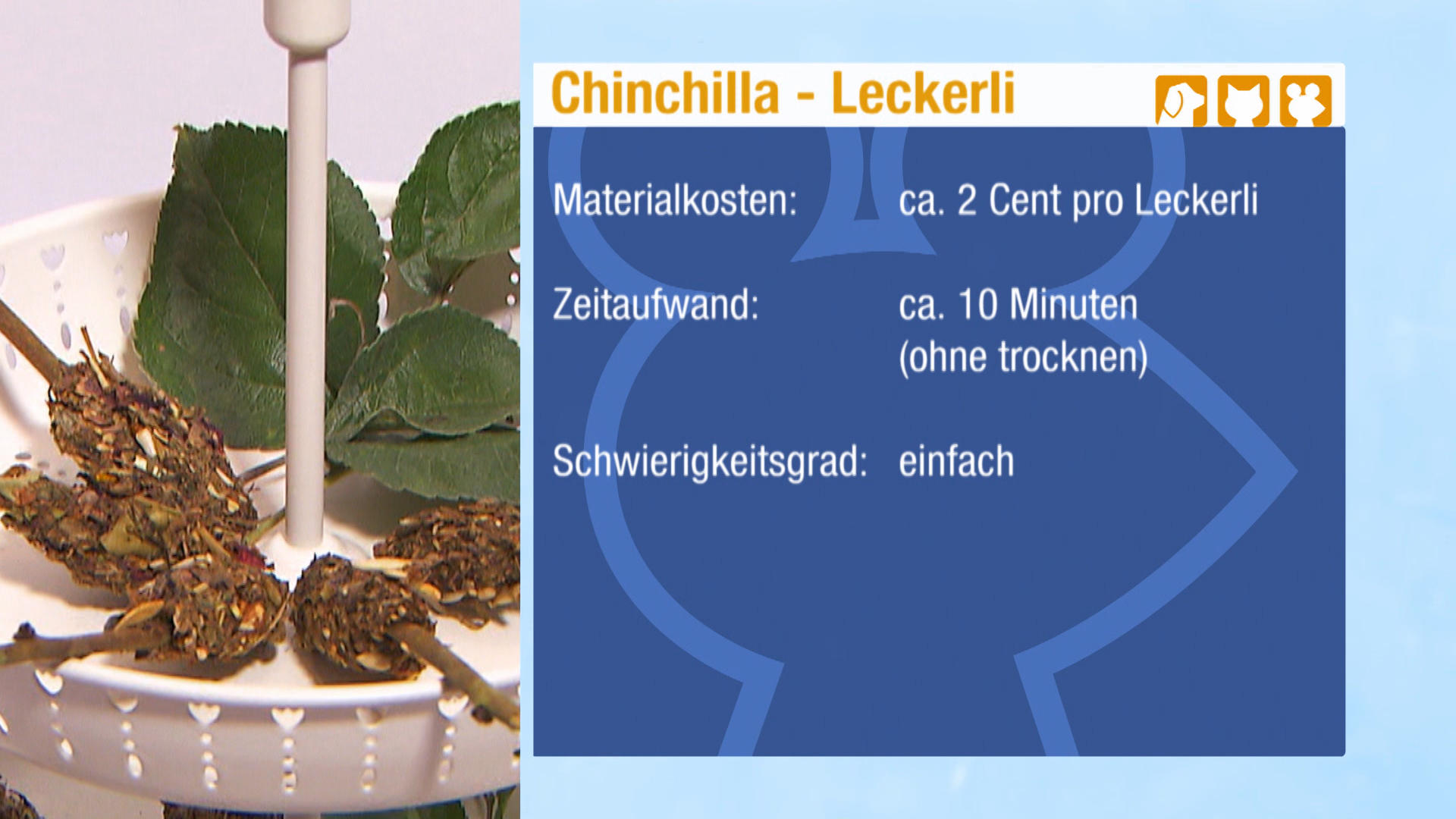 Chinchilla-Kekse Chinchilla-Kekse