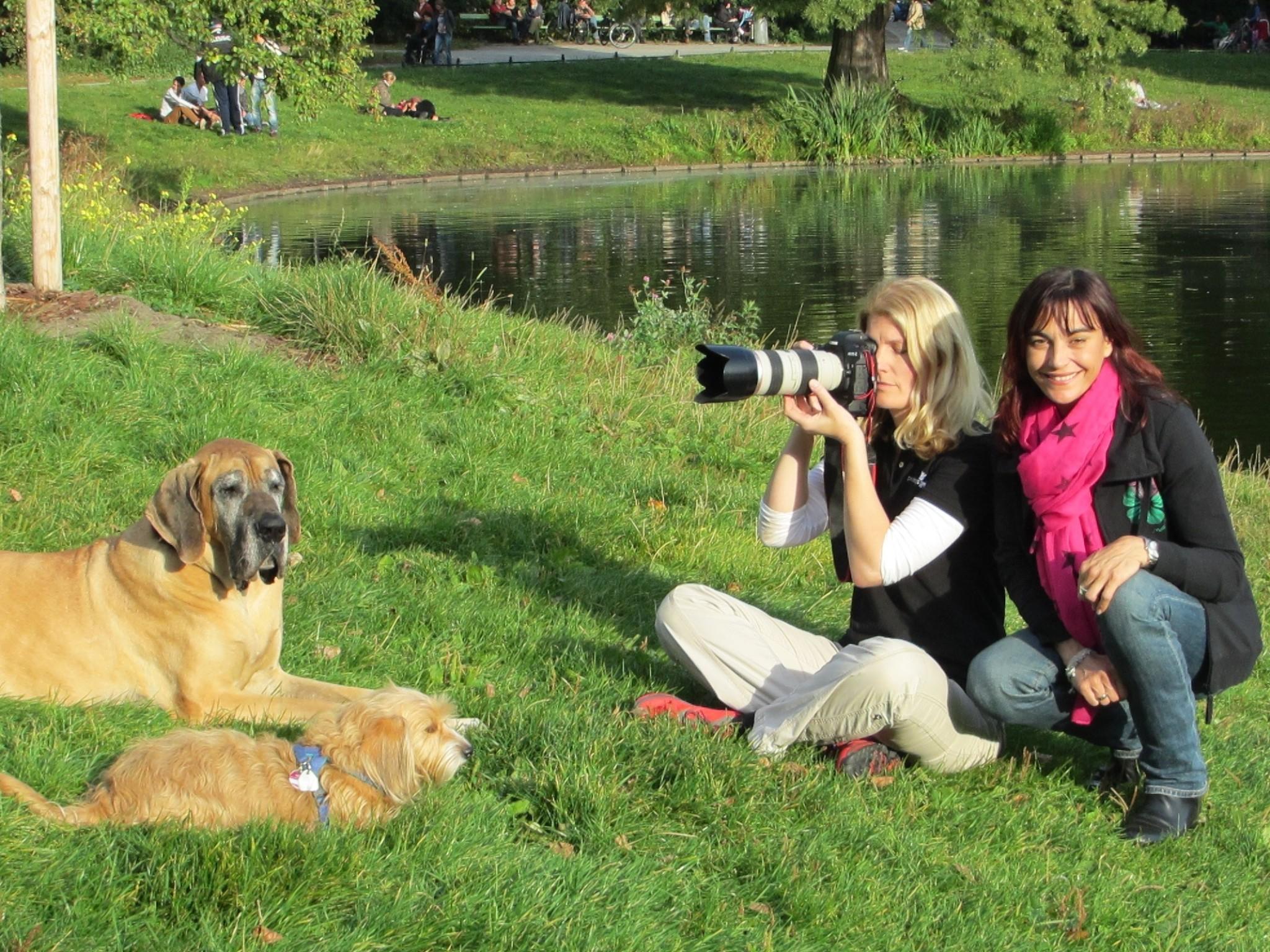 Das perfekte TierfotoVO Das perfekte TierfotoVO