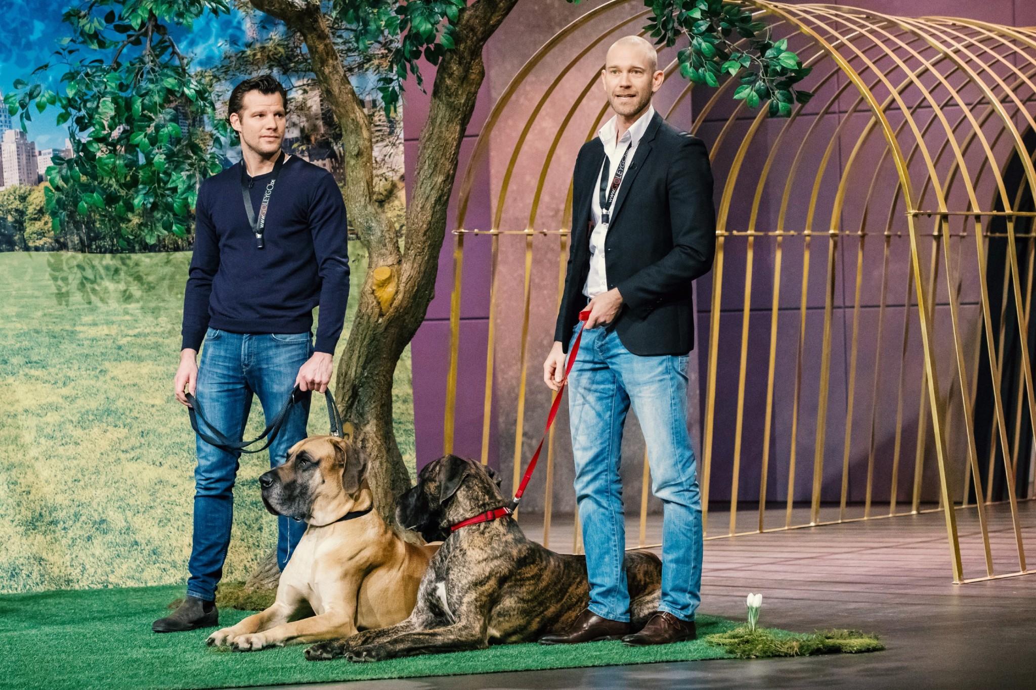 DHDL 2018 Gründer-Infos DHDL 2018 Gründer-Infos