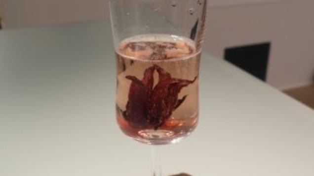 Rezept: Aperitif: Champagner mit Hibiskus-Blüten Rezept: Aperitif: Champagner mit Hibiskus-Blüten