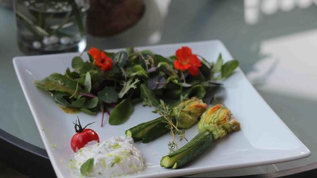 Rezept: Gefüllte Zucchiniblüten mit Minzcreme an Kapuzinerkresse Rezept: Gefüllte Zucchiniblüten mit Minzcreme an Kapuzinerkresse