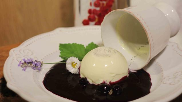 Rezept: Lavendel Panna Cotta auf Heidelbeerragout Rezept: Lavendel Panna Cotta auf Heidelbeerragout