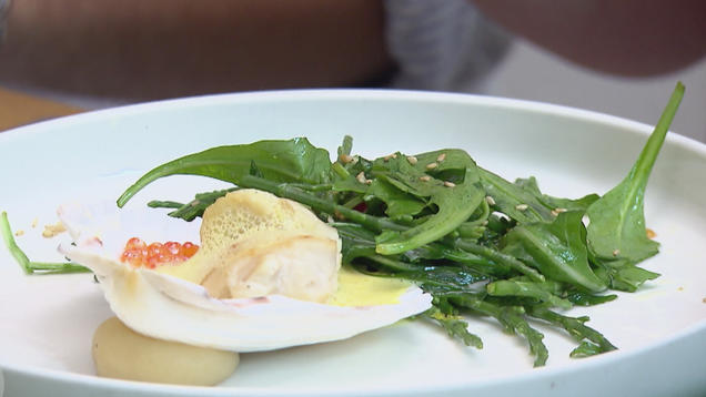 Rezept: Jakobsmuschel, Parmesan, Queller-Rucola-Salat, Safran-Sahnesoße Rezept: Jakobsmuschel, Parmesan, Queller-Rucola-Salat, Safran-Sahnesoße