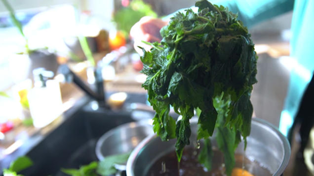 Rezept: kabeljau, kürbis, brennnessel, kartoffel Rezept: kabeljau, kürbis, brennnessel, kartoffel
