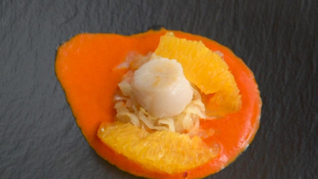 Rezept: Jakobsmuschel mit Fenchelgemüse auf Paprikaspiegel Rezept: Jakobsmuschel mit Fenchelgemüse auf Paprikaspiegel