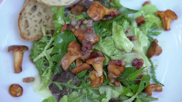 Rezept: Blattsalate mit (Un-)Kräutern, gebratenen Pfifferlingen und Speckwürfeln Rezept: Blattsalate mit (Un-)Kräutern, gebratenen Pfifferlingen und Speckwürfeln