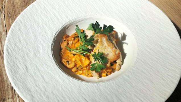 Rezept: Putenbrust auf Eierschwammerlgulasch (Larissa Marolt) Rezept: Putenbrust auf Eierschwammerlgulasch (Larissa Marolt)