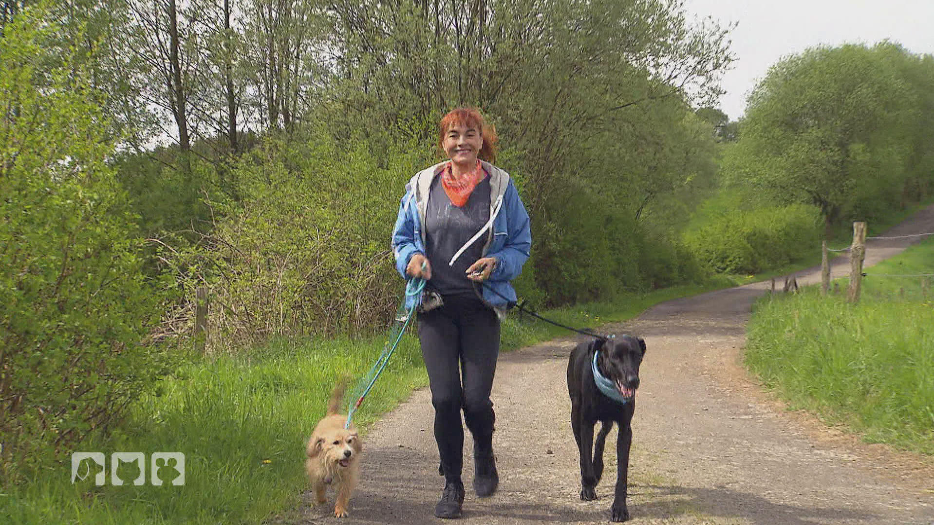 hundkatzemaus: Tipps für eine erfolgreiche Jogging-Runde mit Hund Diana Eichhorn