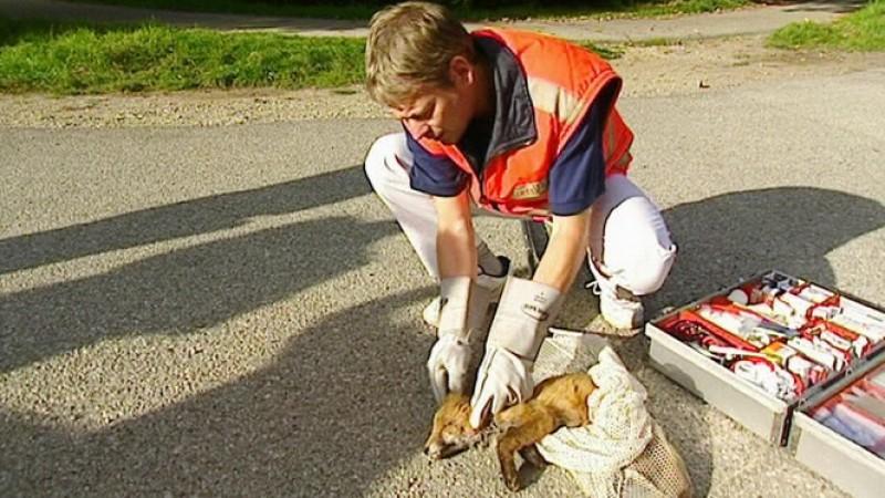 Tierrettung München Foto: VOX/VP