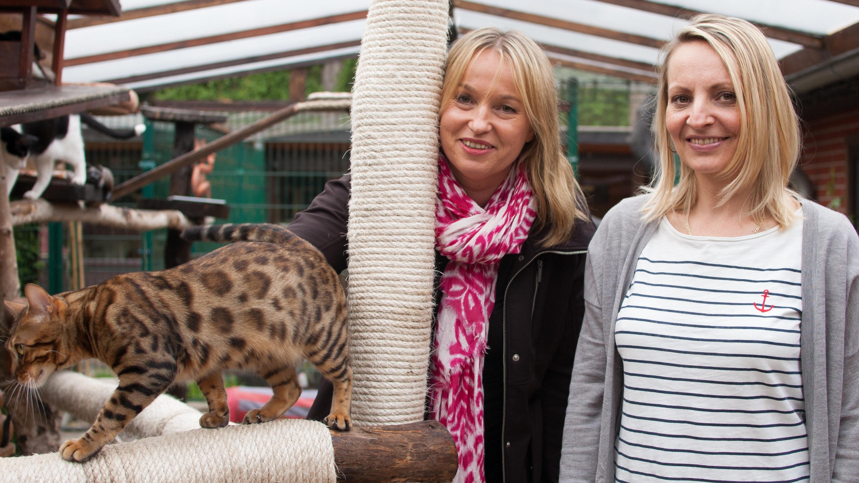 hundkatzemaus: Birga Dexel testet Betreuungsmöglichkeiten für Katzen Katzenexpertin Birga Dexel berät Nina in einer Katzenpension.