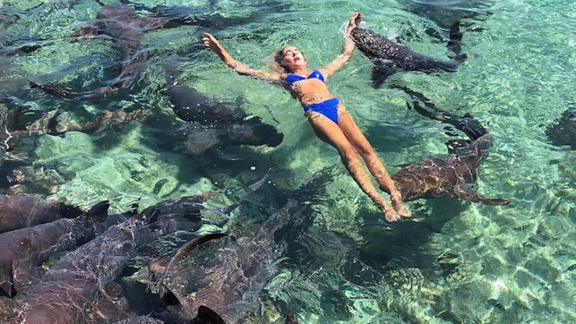 Instagram-Model Katarina Zarutskie bei Shooting von Hai gebissen Katarina Zarutskie