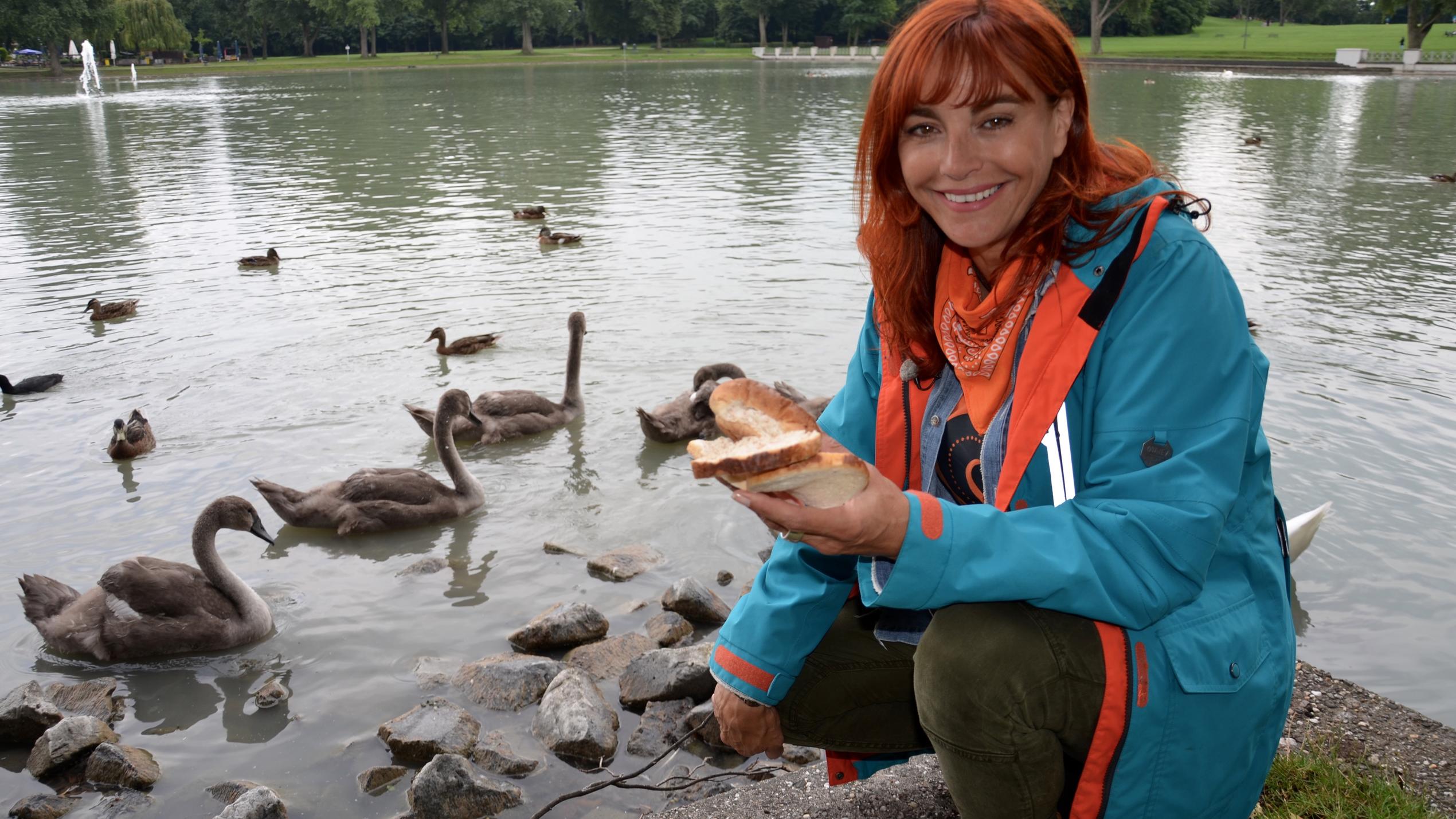hundkatzemaus: Falsch verstandene Tierliebe hat fatale Folgen Enten füttern kann fatale Folgen haben. Diana Eichhorn zeigt, welche.