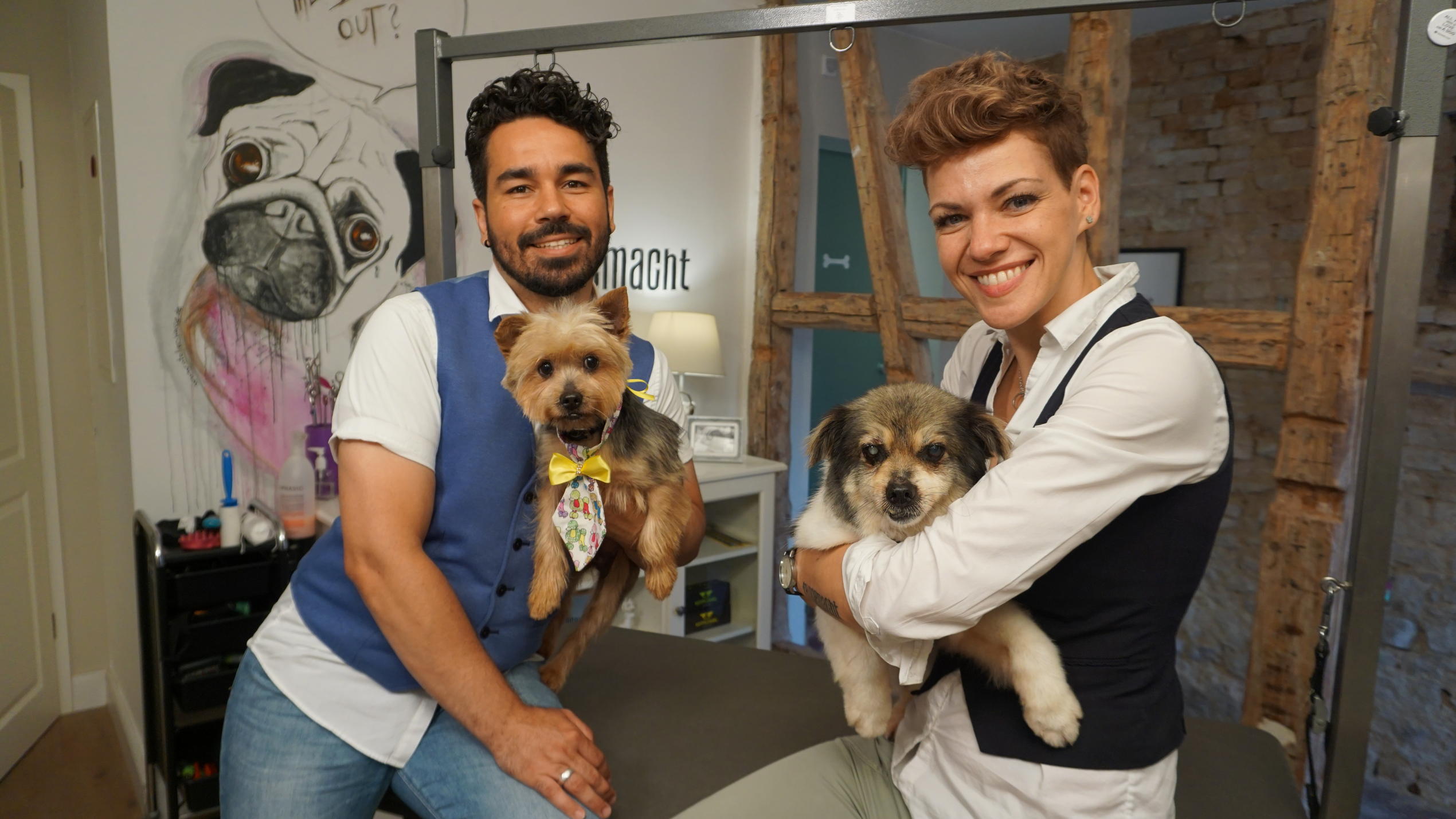 hundkatzemaus: Pflegeprofis helfen Tierheimhunden Apsel und Messi