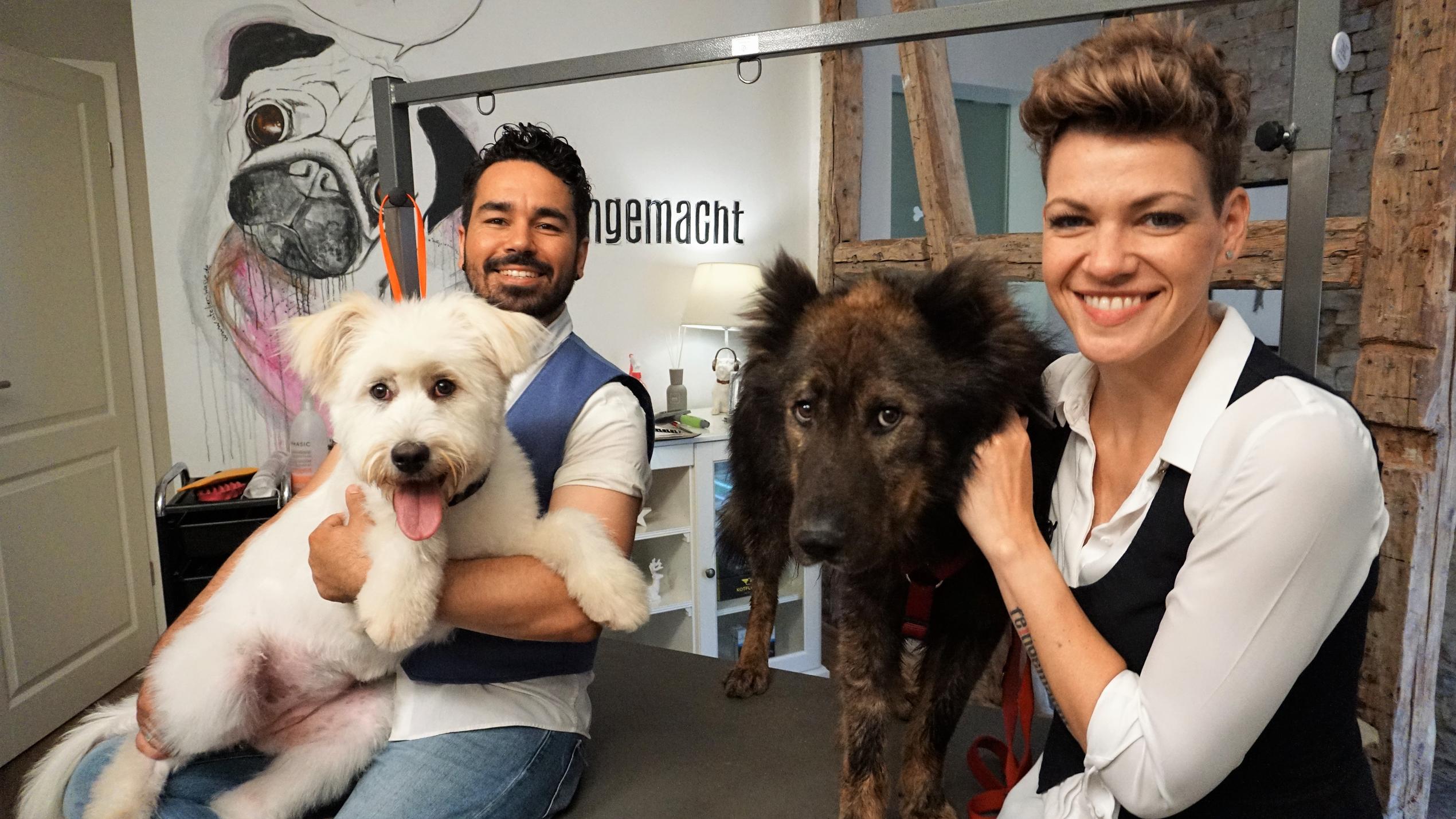 hundkatzemaus: Franziska Knabenreich und Francisco de Vasconcellos peppen Hunde aus dem Tierheim auf Feila und Balou