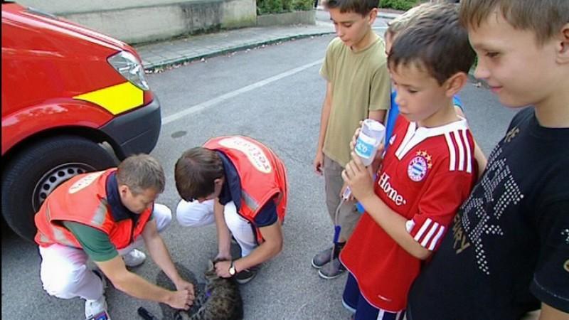 Tierrettung München Foto: VOX/VP