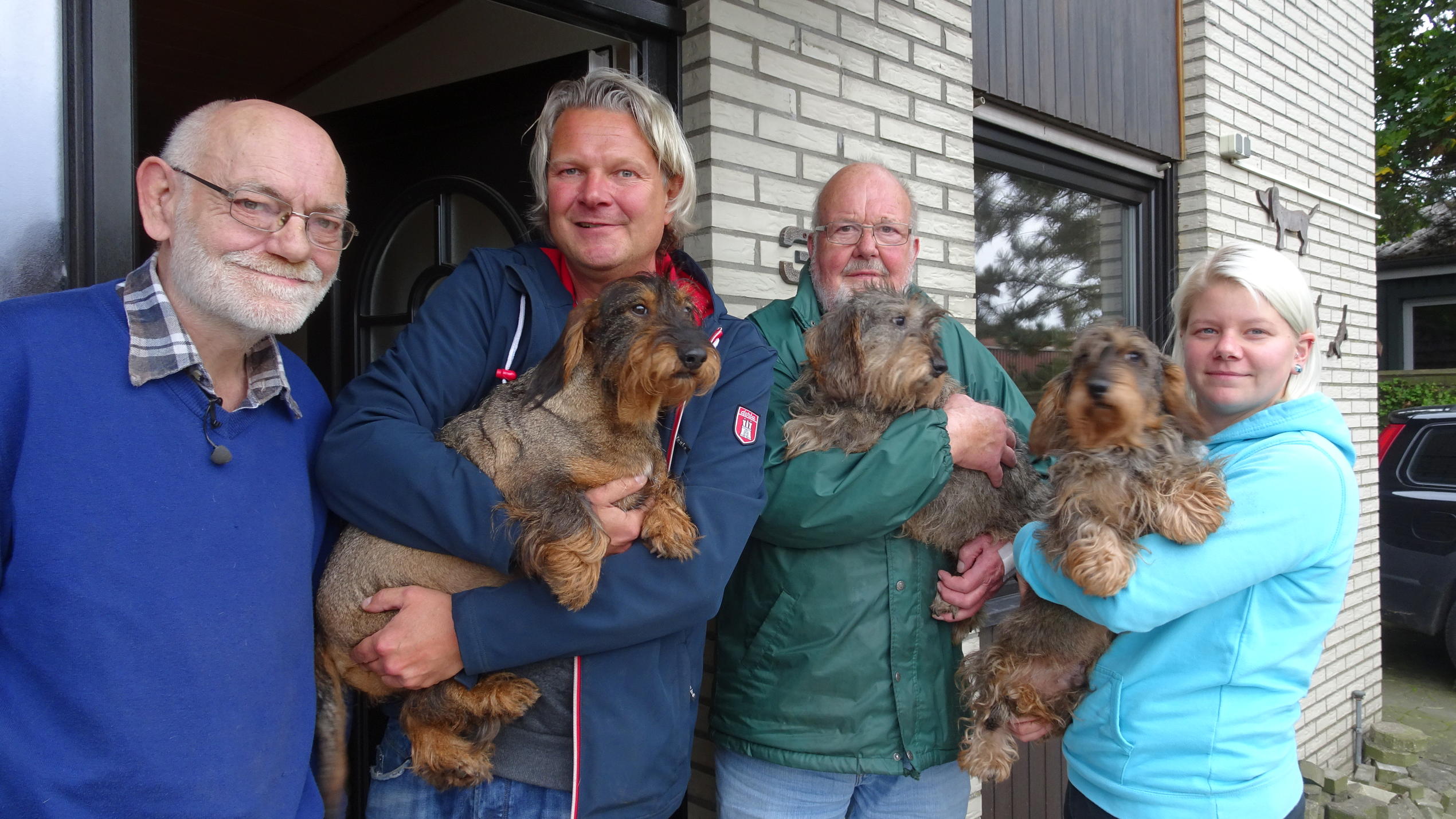 hundkatzemaus: Abzugeben: ein Rudel Dackel Frank Weber - Ein Rudel Dackel