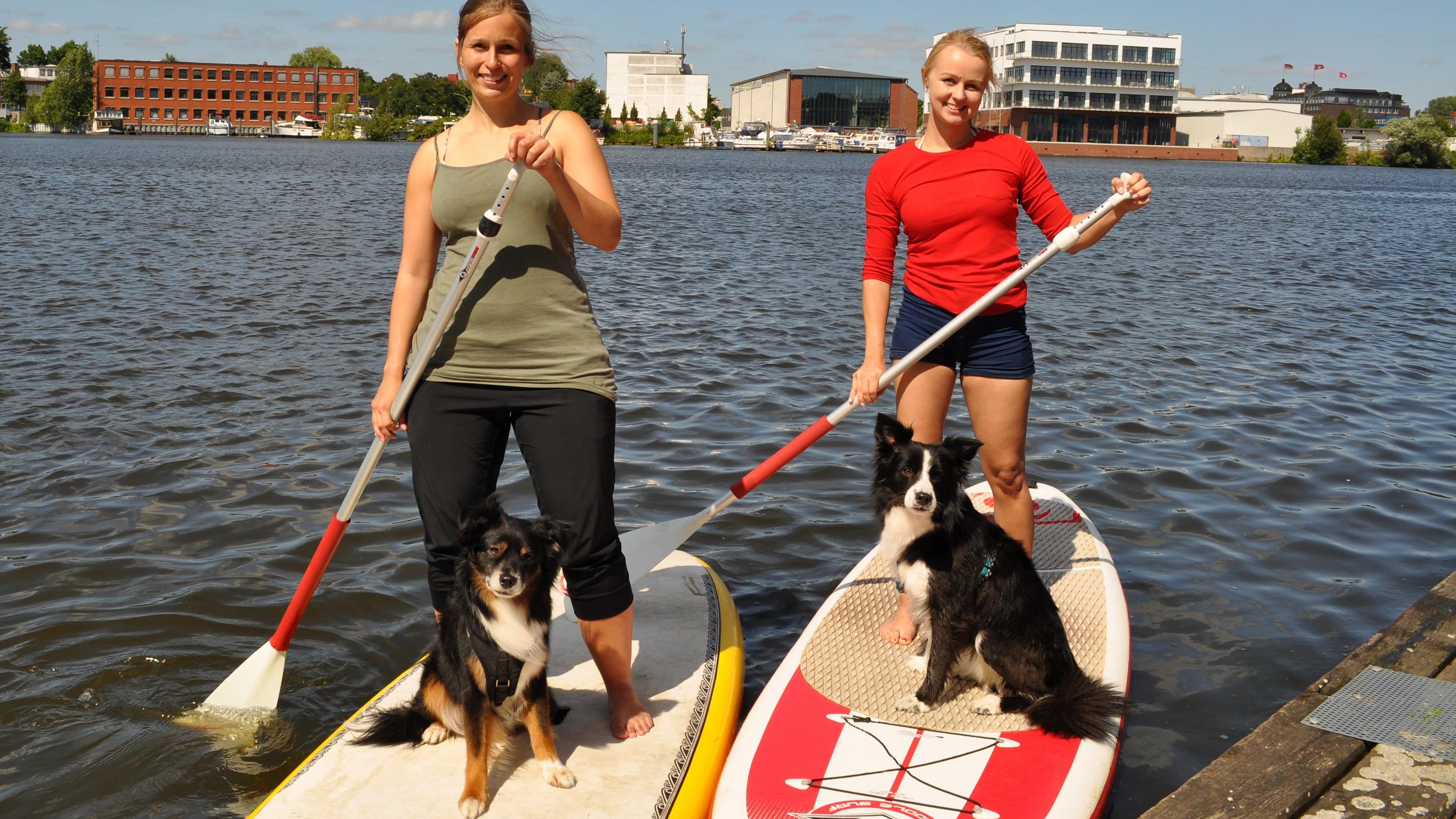 hundkatzemaus: Stand Up Paddling mit dem Hund Stand Up Paddling mit dem Hund. Birte Ellgoth und ihr Mini-Aussie Pitú wagen sich aufs Brett.