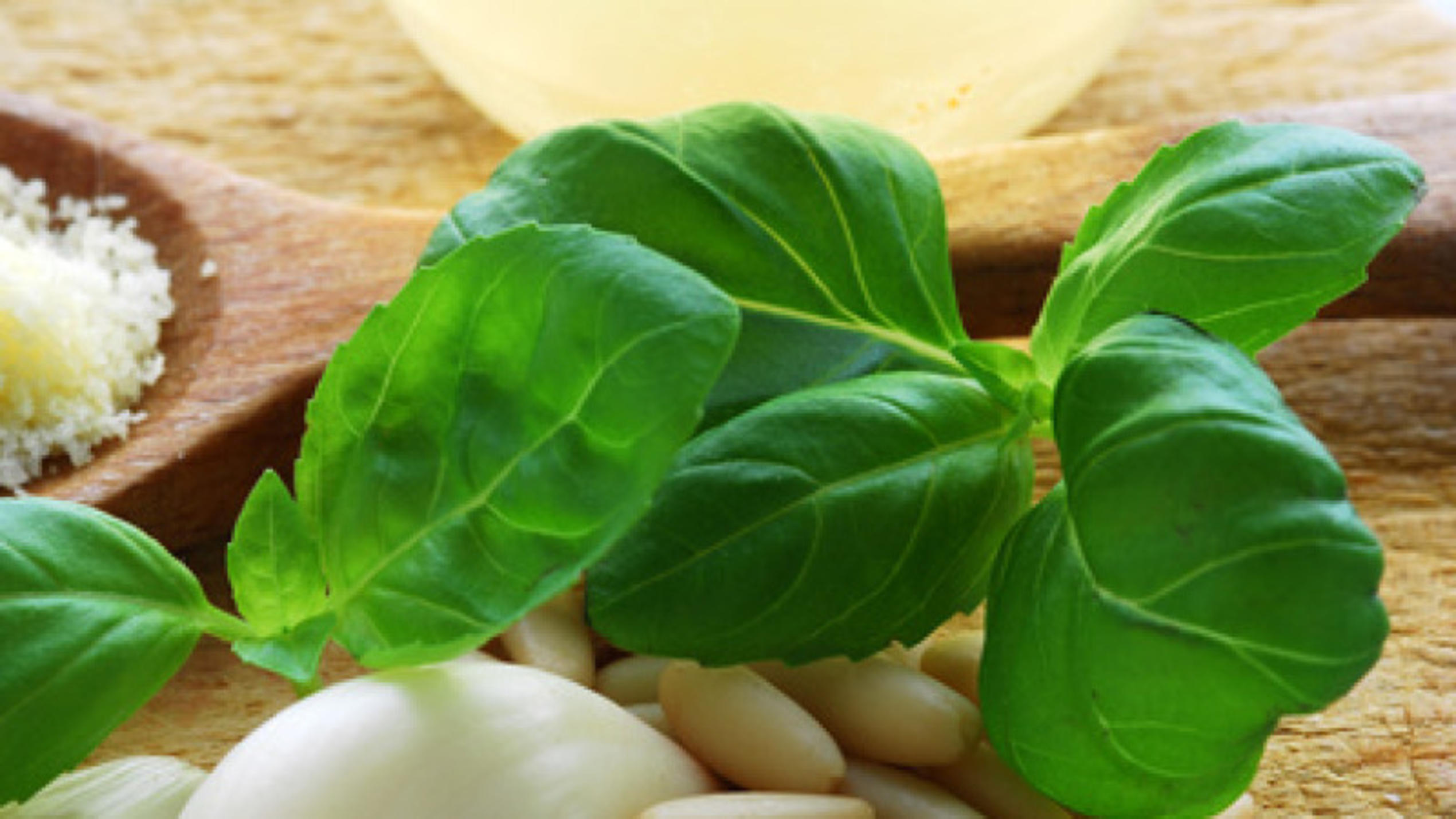 Zubereitung Pesto Pesto