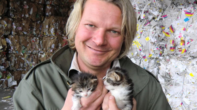 Katzen auf der Mülldeponie Katzen auf der Mülldeponie