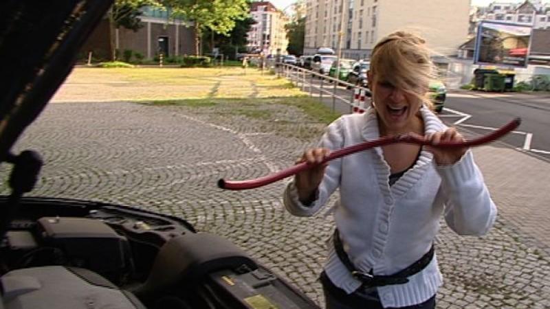 Recht so! Marderschaden bei auto mobil