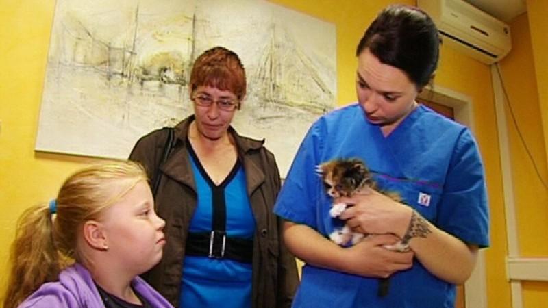 Tierklinik Recklinghausen Tierklinik Recklinghausen