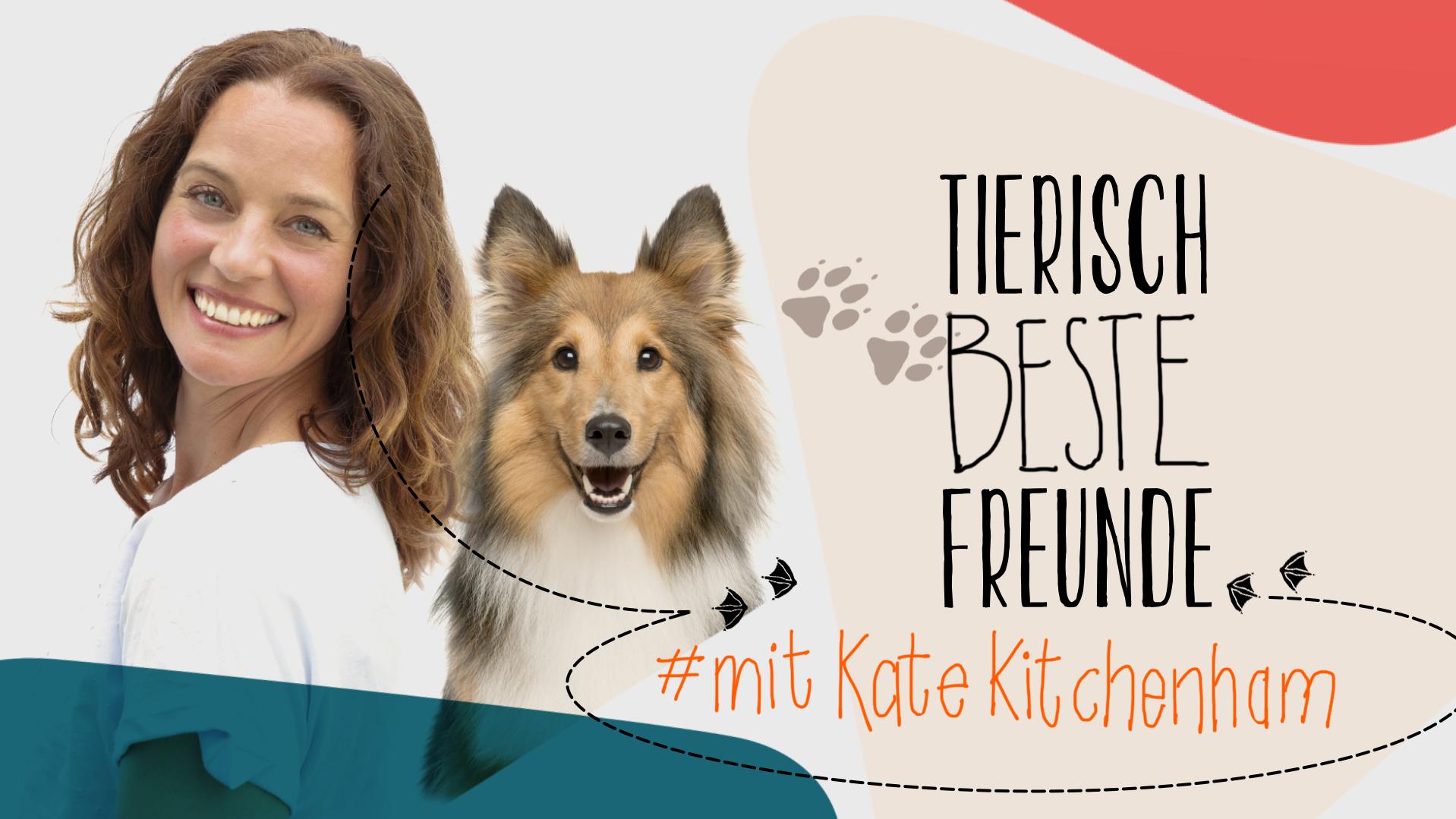Tierisch beste Freunde mit Kate Kitchenham vlcsnap-2019-08-12-11h52m18s602