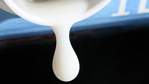 Milch ist gesund oder doch nicht? Milch ist die allererste Nahrung aller Säugetiere vom Fledermaus-Baby bis zum Menschen.