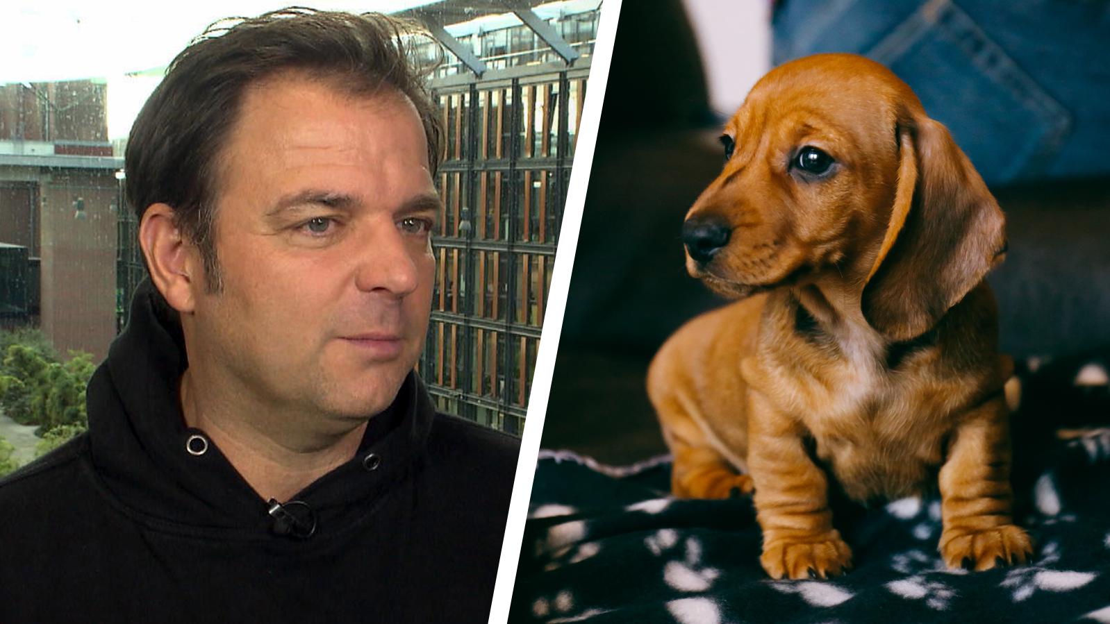 Hund anschaffen Martin Rütter verrät 5 Dinge, die Sie VORHER wissen