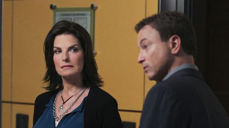 CSI:NY - Die siebte Staffel CSI: NY - Die siebte Staffel