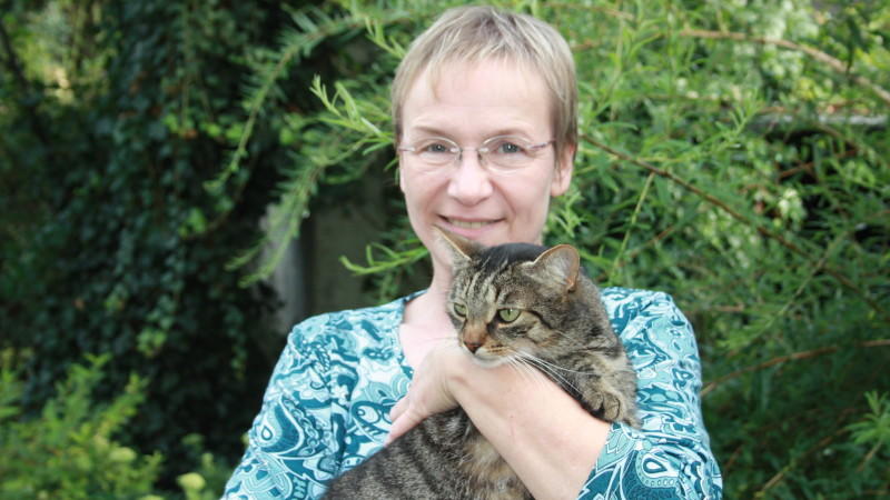 Der Tag einer Pflege-Mama für Katzenbabys Der Tag einer Pflege-Mama für Katzenbabys