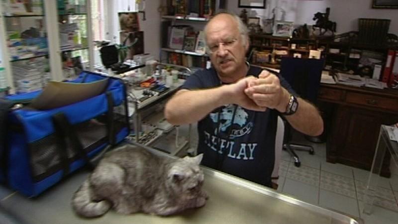 Die Themen nächste Woche Dr. Wolf
