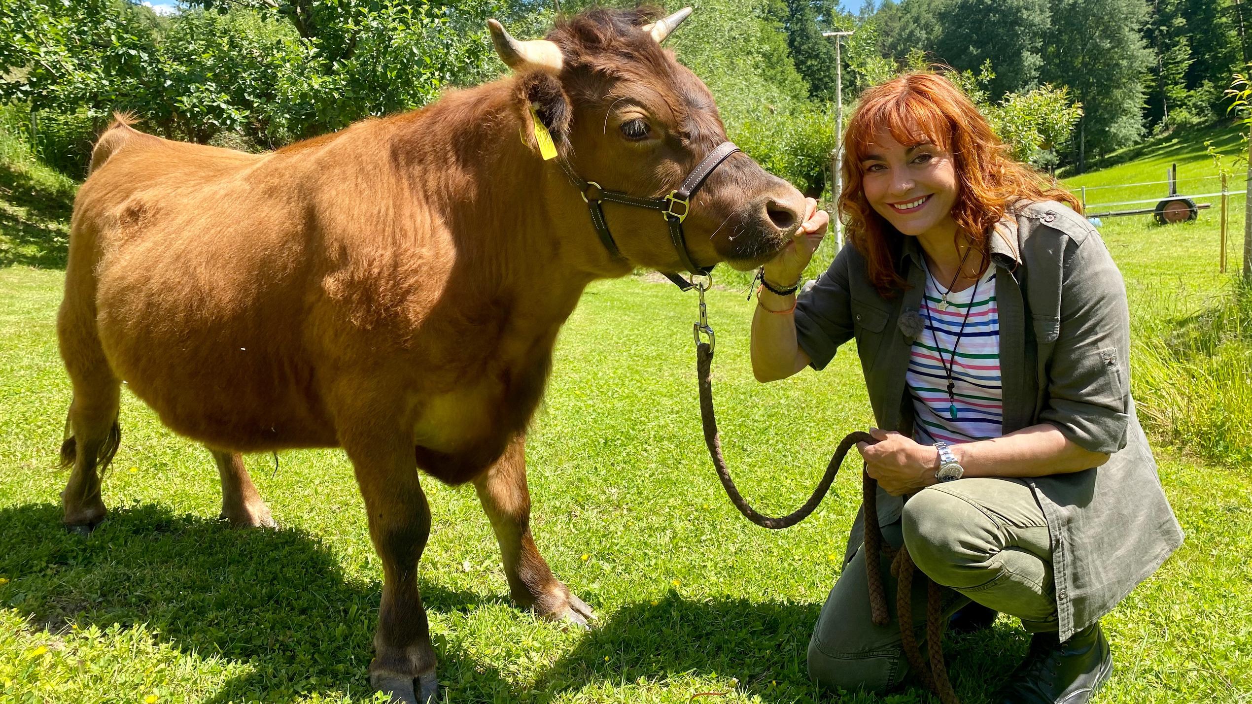 hundkatzemaus: Diana Eichhorn besucht Minirinder Minirinder