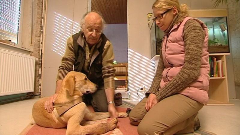 Dr. Wolf besucht Ex-Straßenhund Balu hundkatzemaus-Tierarzt Dr. Wolf und Straßenhund Balu