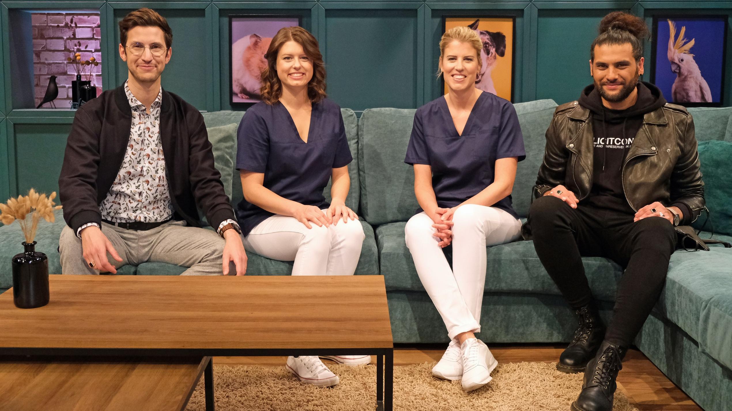 Top-3-Probleme mit Hunden und Katzen - und die passenden Lösungen RTL-Show "Wir lieben Tiere - Die Haustiershow".