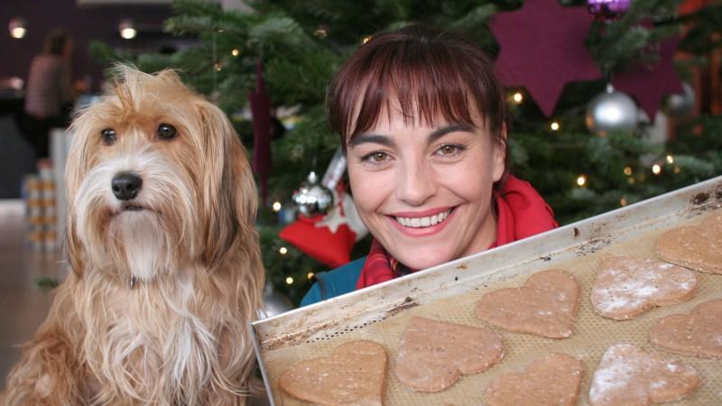 Vierbeiner in Weihnachtsstimmung hundkatzemaus-Reporterin Diana Eichhorn